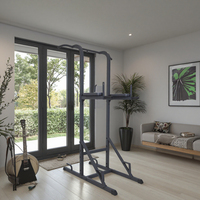 Vente chaude MAIRUISHI JH-D06 fer matériel 231.5kg Station d'immersion barre de traction usage Commercial Fitness personnel Gym Rack Station