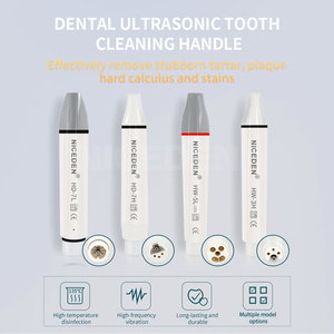 Macchina per la pulizia dentale maniglia picchio HW-5L con luce HW-3H adattatore universale picchio Saiteli - Product Image 3