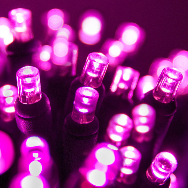 Waterproof Led Mini Light LED Commercial Outdoor Strings 5mm Light Strand Christmas Decoration