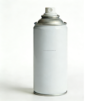Vente en gros de flacons aérosols vides en fer blanc de 45/52/57/60/65/70/80 mm pour bombes aérosols, boîtes de conserve vides