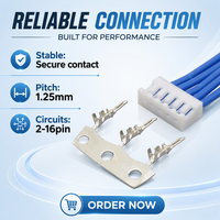 Câble de connecteurs de qualité industrielle 2 16Pin  pas de 1.25mm à câble 2-16Pin Terminal de boîtier pour applications PCB