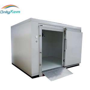 Cella Frigorifera Modulare 4*3*2.5m, Congelatore Walk-in per Pollo - Product Image 1