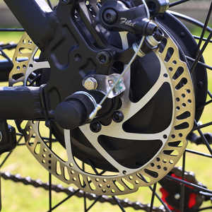 Taille de <span class=keywords><strong>roue</strong></span> de 26 pouces, 50-60 km d'autonomie par puissance, 21 vitesses, vélo de montagne <span class=keywords><strong>électrique</strong></span> BAFANG M620 - Product Image 4