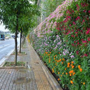 Fournisseur de revêtements muraux en plastique pas chers, plante murale artificielle, jardin vertical, mur vert artificiel pour la décoration intérieure - Product Image 6