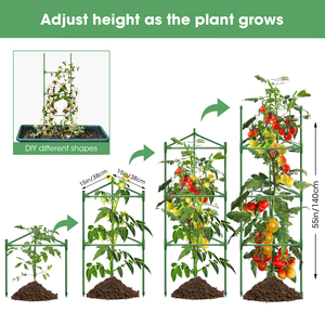 MQ Chinese 2026 Hot Selling Triangular Climbing <b>Frame</b> Metal Construction Strong Support 360-<b>Degree</b> Lighting Ventilation Garden - Product Image 2