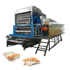 Full automatic paper pulp molding machine new egg tray making production line