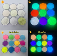 Polvo de pigmento que brilla en la oscuridad, polvo de aluminato de estroncio, precio de polvo luminoso, pigmento luminoso, pigmento fotoluminiscente