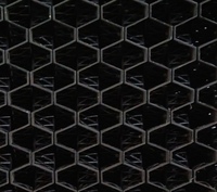 Panel de Enfriamiento Evaporativo con Marco de Acero Inoxidable Galvanizado y PVC Plástico Negro para Granjas Avícolas, Granjas Porcinas, Invernaderos y Ganado