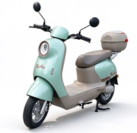 Moto électrique YT à cadre en acier à haute teneur en carbone, moteur sans balais 1000W-2000W, 60V/72V, 60-70km/h, pneu tubeless 300-10, batterie au lithium