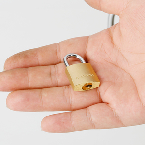 Cheap Padlocks - High Security Brass Locks for Doors