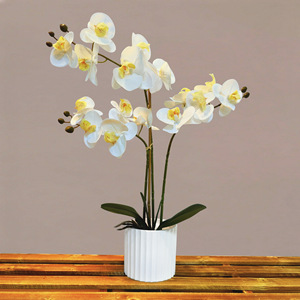 <span class=keywords><strong>Plantas</strong></span> y flores artificiales <span class=keywords><strong>de</strong></span> alta calidad <span class=keywords><strong>en</strong></span> <span class=keywords><strong>macetas</strong></span>, decoraciones para sala <span class=keywords><strong>de</strong></span> estar o mesa <span class=keywords><strong>de</strong></span> oficina - Product Image 4