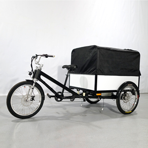 Triciclo Elettrico da Carico ESTER 500W Nuovo con Tettuccio Morbido Personalizzato, Bici Cargo Elettrica a 3 Ruote, Cassone in Alluminio Alleggerito - Product Image 2