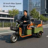 Tricycle Électrique Passager, Scooter à Trois Roues, Moteur Moyeu 35km/h, Charge Utile 120kg, Carrosserie Ouverte, Transport Adulte
