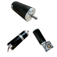 Moteur CC à Balais de Bonne Qualité, Taille 30-110mm, Personnalisable, Couple Élevé, 12V 24V 36V 48V 60V 220V, 15W 50W 100W 200W 300W 500W 1000W