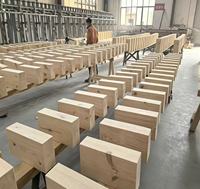Bloc de bois de pin ignifuge traité sous pression, résistant à l'humidité, sûr au feu, pour l'emballage logistique