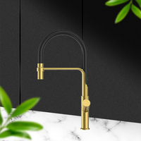 Robinet de cuisine contemporain à poignée unique avec douchette extractible flexible en caoutchouc, finition or brossé, eau chaude et froide
