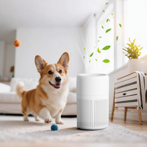Purificateur d'air portable domestique à filtre HEPA électrostatique avec charbon actif pour usage sur bureau et en chambre – Prix de gros - Product Image 1