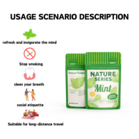 Boîte de cure-dents aromatisés à la menthe infusée au parfum de bois de bouleau avec fermeture éclair, lot de 4, bonbons à la cannelle pour arrêter de fumer, à mâcher au goût bourbon