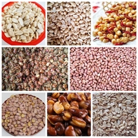 Machine automatique de traitement des noisettes, décortiqueuse d'arachides, égreneuse de cacahuètes, éliminateur de peau rouge, concasseur, broyeur, machine à peler les amandes et les noix d'arec