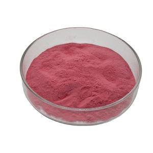 Ekstrak Daun Bit & Akar Bit Merah Kelas Makanan, Bubuk Bubur Bit Gula 100% Murni Beta Vulgaris Tersedia Kemasan Drum/Botol/Kaleng - Product Image 2