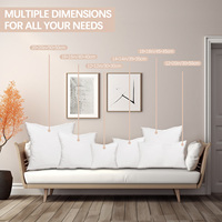 Livraison gratuite depuis l'entrepôt américain : Inserts de coussins décoratifs 18x18 pouces, hypoallergéniques, doux et ferme, avec housse 100% coton