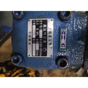 Paquete Variado de Bombas Hidráulicas YB1-E25 con Modelos YB1-E10 YB1-E16 YB1-E32 YB-E40 YB-E50 YB-E63 YB-E100 - Product Image 4