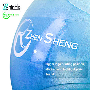 Zhensheng Venta caliente Nuevo diseño Ecológico Yoga Ball 55CM 65CM 75CM Swiss Ball Anti Burst <span class=keywords><strong>Pilates</strong></span> Balls con bomba - Product Image 3