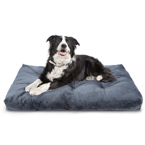 Nobleza grande letto per cani grigio scuro XL taglia morbido e soffice materiale antiscivolo PP lettino per cani lavabile per piccoli animali - Product Image 1