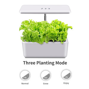 Système de <span class=keywords><strong>jardin</strong></span> hydroponique intelligent pour la maison, design électronique moderne pour une culture efficace - Product Image 3