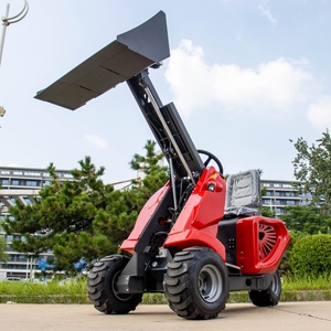 Tracteur à trois roues avec moteur à essence Briggs & Stratton, système entièrement hydraulique, capacité de 350 kg - Product Image 3