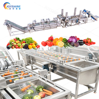 Industriële reinigingsmachine voor de verwerking van fruit en groenten, capaciteit 100-1000 kg voor groente- en fruitkiemen