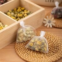 Sachets de Thé en Nylon Transparents Vides, Jetables, avec Cordon, Sacs Filtres Thermoscellables pour Épices, Herbes et Thé en Vrac