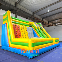 Mur d'escalade gonflable pour jeux en plein air, toboggan géant gonflable pour adultes