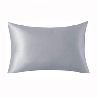 Meilleure vente 100% taie d'oreiller en soie de mûrier écologique sommeil profond personnalisé moderne mignon Style maison hôtel hôpital Pure Technique