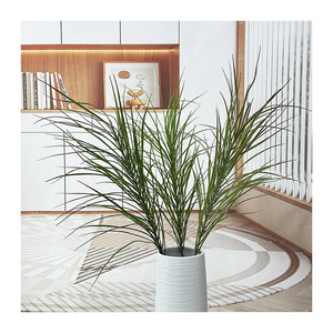 Plantes de Pampas Individuelles, Résistantes aux Zones Sombre, pour la Décoration de Bureau et de Chambre - Product Image 5