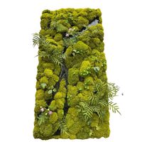 Panneau mural en mousse préservée haut de gamme de 100 cm pour la décoration intérieure