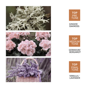 ครีมนวดผม Ginger sadoer ที่ให้ความชุ่มชื่นและทำให้<span class=keywords><strong>ผม</strong></span>เรียบเนียนนุ่มขึ้นลดเลือนริ้วรอยการดูแลการส่งออกข้ามพรมแดน - Product Image 4