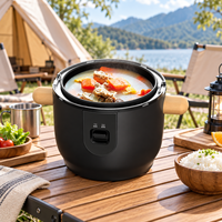 Cuisinière à riz électrique portable 24V 3L pour voiture, avec minuterie numérique et fonction maintien au chaud pour le camping