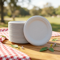 Platos Redondos de Bagazo Compostables Ecológicos en Oferta, Platos Desechables para Alimentos al por Mayor, Admite Tamaños Personalizados y Varias Formas