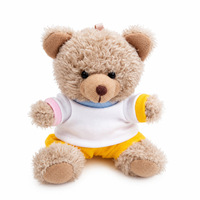 Songshan Toys Ensemble de t-shirts de sport avec logo personnalisé, porte-clés animaux, pendentif de sac poupée pour machine à griffes, jouet en peluche ours en peluche, cadeau