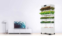 Système hydroponique intelligent pour jardin vertical d'intérieur, utilisation en cuisine, bac de culture