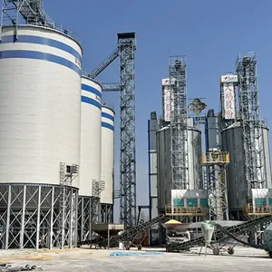 Bel silos galvanizzato progettato con una buona prospettiva per lo stoccaggio del grano