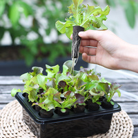 Kit de démarrage de plantes agricoles en silicone à 20 cellules avec dôme pour semis de légumes