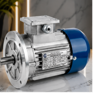 Moteur triphasé 0,5 CV 2880 tr/min, corps en aluminium, 2 pôles, montage sur pied, moteur électrique pour pompes et compresseurs - Product Image 4
