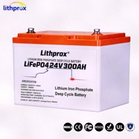 Ersatzakku für Elektromobile 24V300AH 7,2KWh Klasse A LiFePO4 Einfache Installation Vibrationsbeständig für 3-Rad-Elektrofahrzeuge