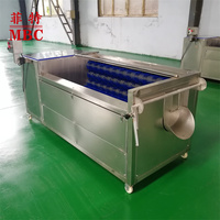 Aangepaste 2025 Nieuwe Ontwerp Automatische Dragon Fruit Wasmachine Luchtbel Reinigingsmachine Groente Wasmachine