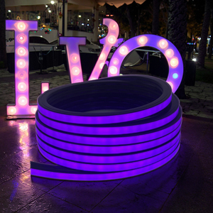 Black Housing 8mm 3535RGB Magic Horizontal Bending Smart <strong>LED</strong> Silicone Neon Flex <strong>Strip</strong> 24V IP65 Waterproof APP Control Cuttable - Product Image 6