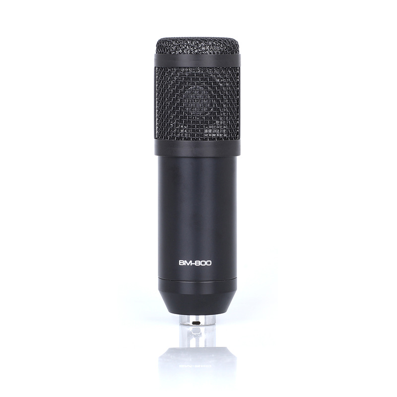 BM800 MIC