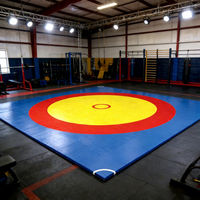 Tapis de lutte 10m X 10m en mousse XPE avec revêtement en PVC pour MMA, boxe, judo, BJJ