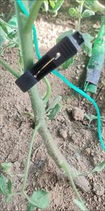 Clips de fixation en plastique pour tomates, concombres, poivrons et plantes grimpantes sur treillis ou fil métallique - Product Image 3